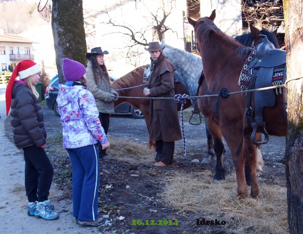 Žegenj konj 2014 - foto