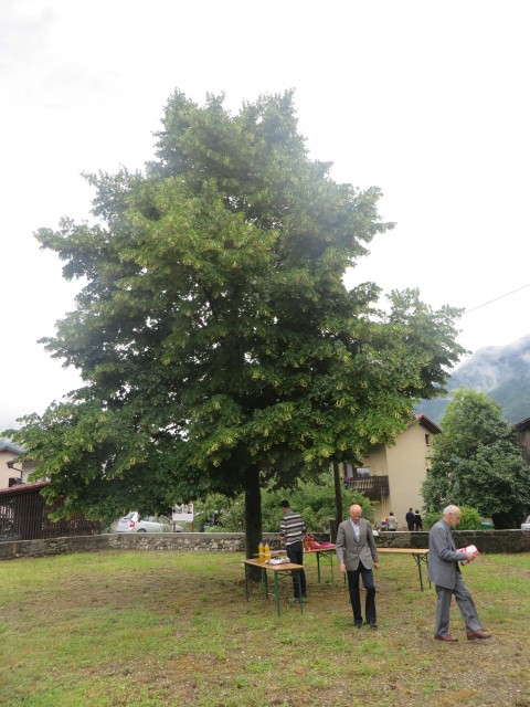 25.06.2014 Odkritje spominske plošče - foto