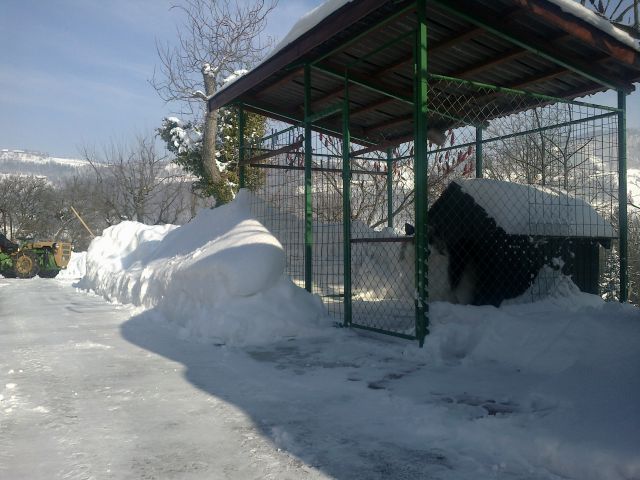 Mesano - foto