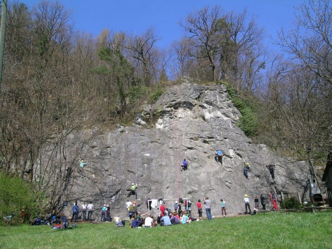 Tečaj pomlad 08 Vransko - foto povečava