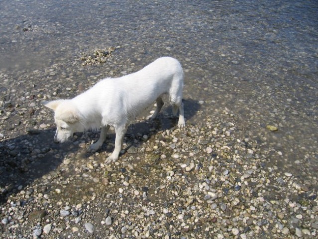 Srečanje - 03.09.2006 - foto