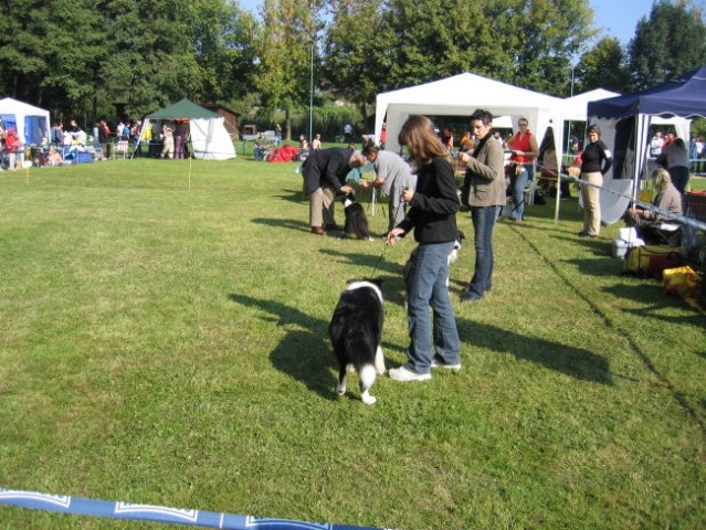 CACIB Maribor - 24.09.2006 - foto