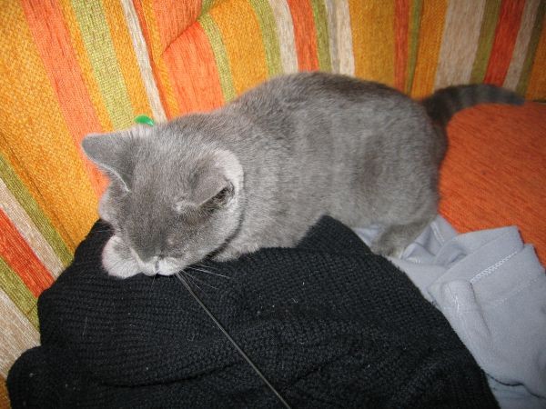 Muca Suki - foto