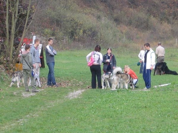 5.PeSjanarsko srečanje - 29.10.2006 - foto