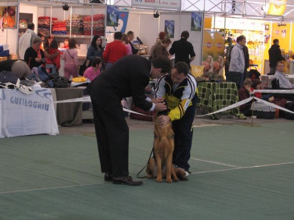 CACIB Zagreb - 25.11.2006 - foto povečava