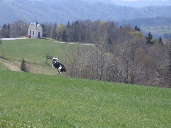 Janče - 09.04.2007 - foto