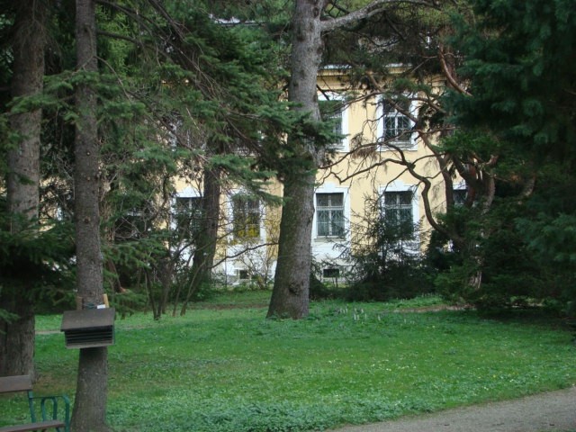 Pomlad 2008 - foto
