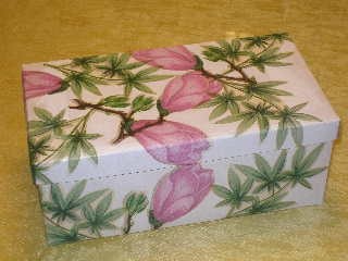 škatla od čevljev- magnolije