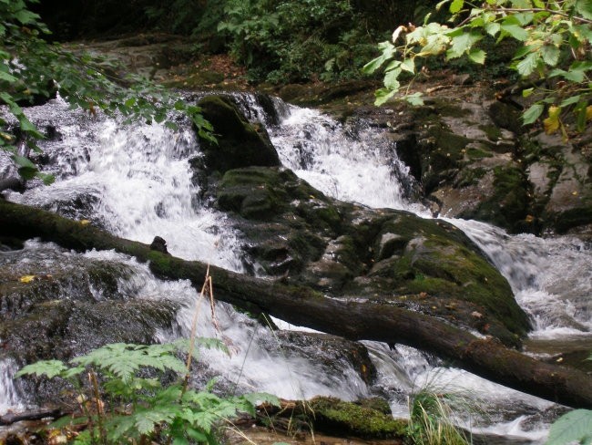 Bistriški vintgar - foto povečava