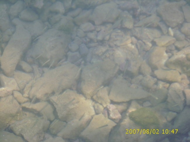Morje 2007 - foto povečava