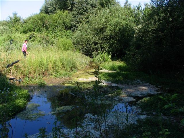 Bela Krajina 06 - foto