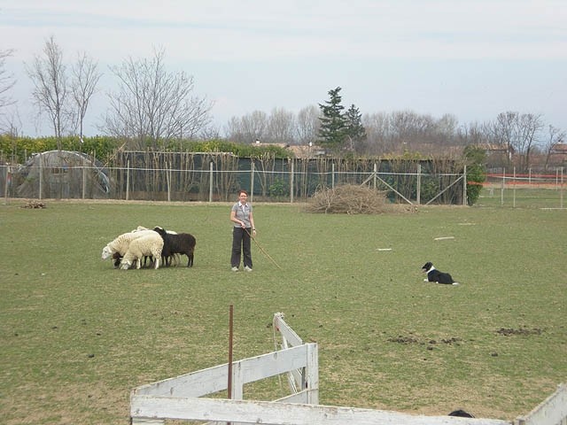 Herding , marec 2009 - foto