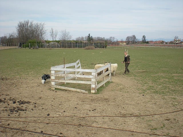 Herding , marec 2009 - foto povečava