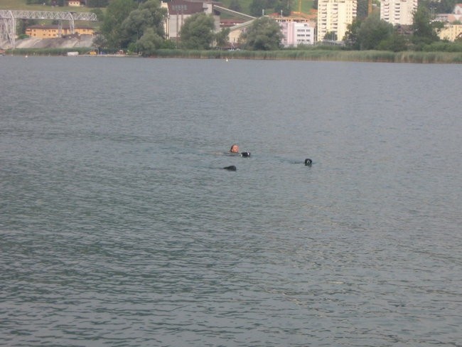 Kopanje v jezeru pri Luzernu ( jaz in kuže)