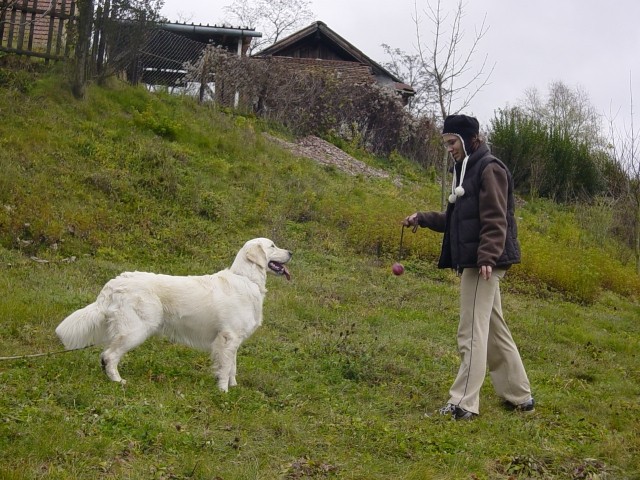 22.11.2007 - Zunaj - foto povečava