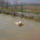 24.11.2007 - Trening za PNZ