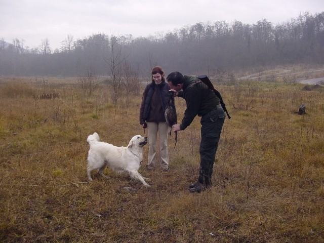 24.11.2007 - Trening za PNZ - foto