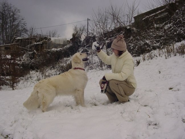 16.12.2007 - Na snegu - foto povečava