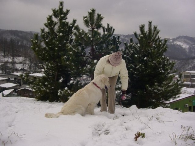 16.12.2007 - Na snegu - foto