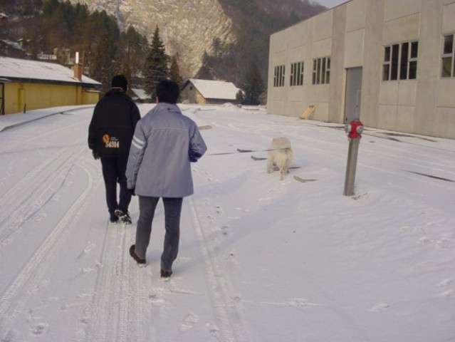 25.12.2007 - Bozicni sprehod na snegu - foto