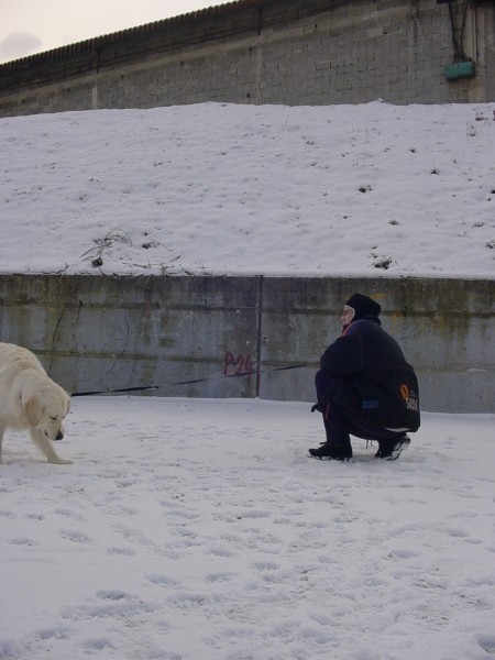 25.12.2007 - Bozicni sprehod na snegu - foto povečava