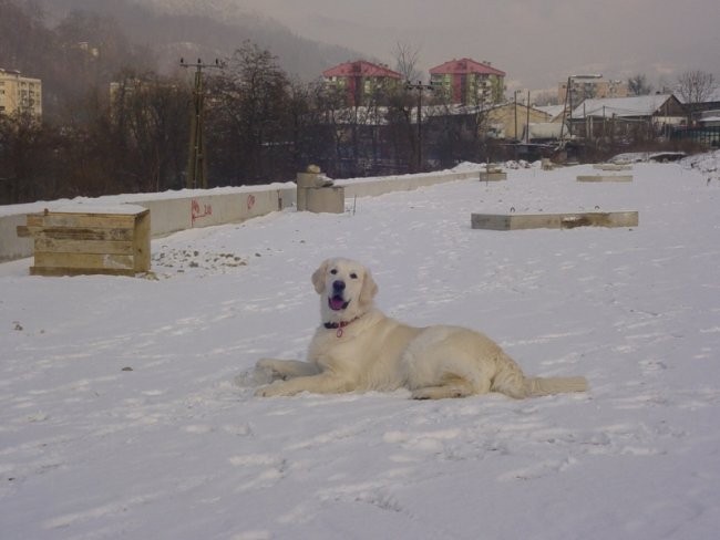 25.12.2007 - Bozicni sprehod na snegu - foto povečava