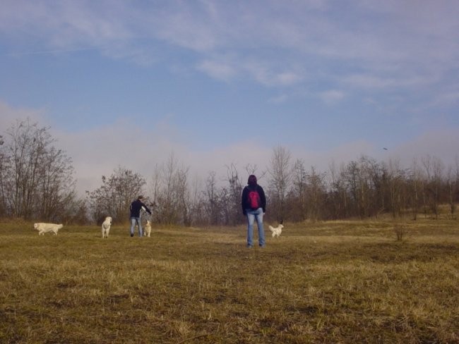 20.01.2008 - Obisk Didi, Lune, Luka in Line - foto povečava