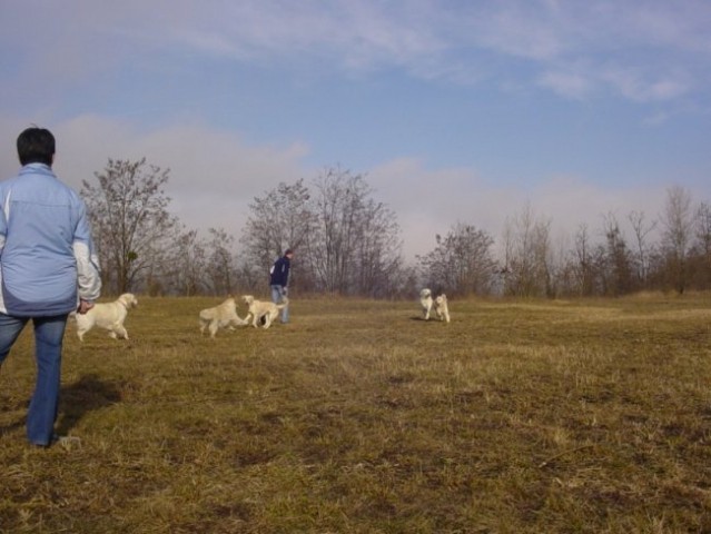 20.01.2008 - Obisk Didi, Lune, Luka in Line - foto