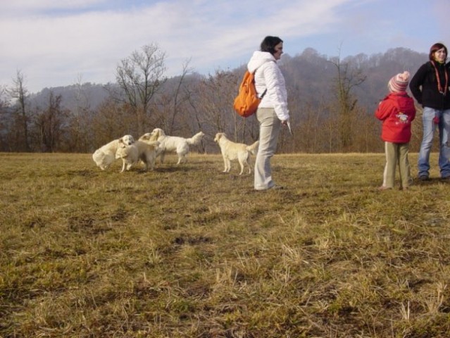 20.01.2008 - Obisk Didi, Lune, Luka in Line - foto