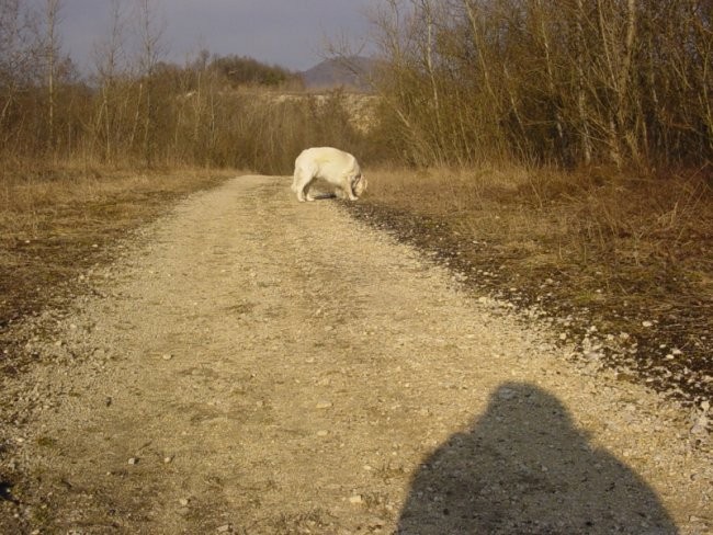 10.02.2008 - Sprehod - foto povečava