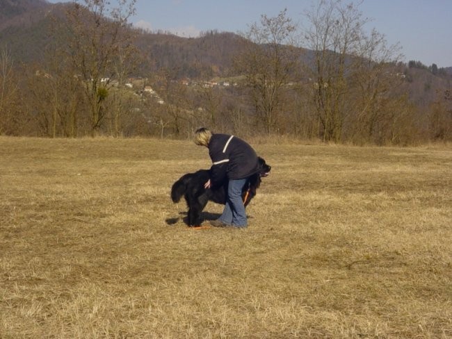 16.02.2008 - Sona, Dina in Cosmo - foto povečava