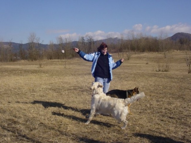 16.02.2008 - Sona, Dina in Cosmo - foto