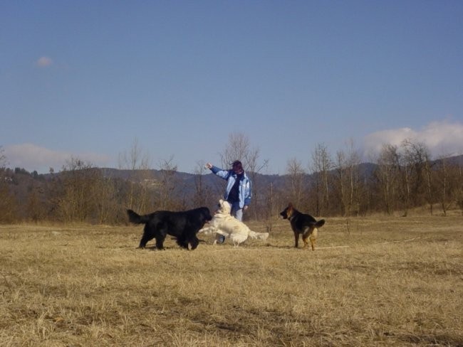 16.02.2008 - Sona, Dina in Cosmo - foto povečava
