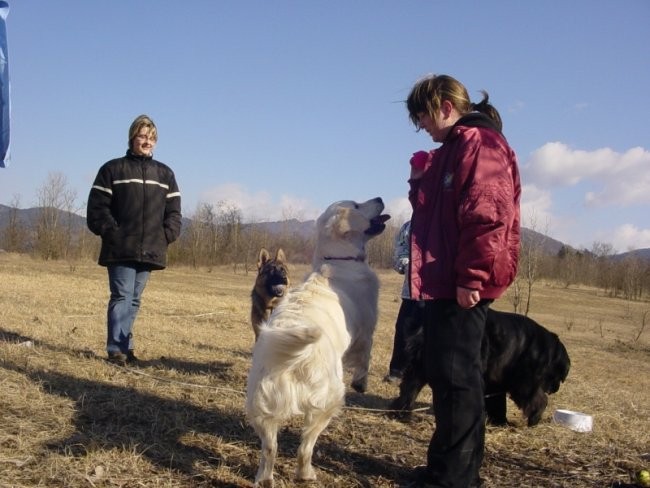 16.02.2008 - Sona, Dina in Cosmo - foto povečava