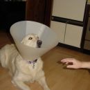 30.03.2008 - Satelit