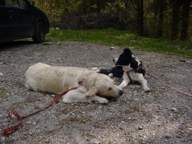 27.04.2008 - Izlet v Robanov kot - foto povečava