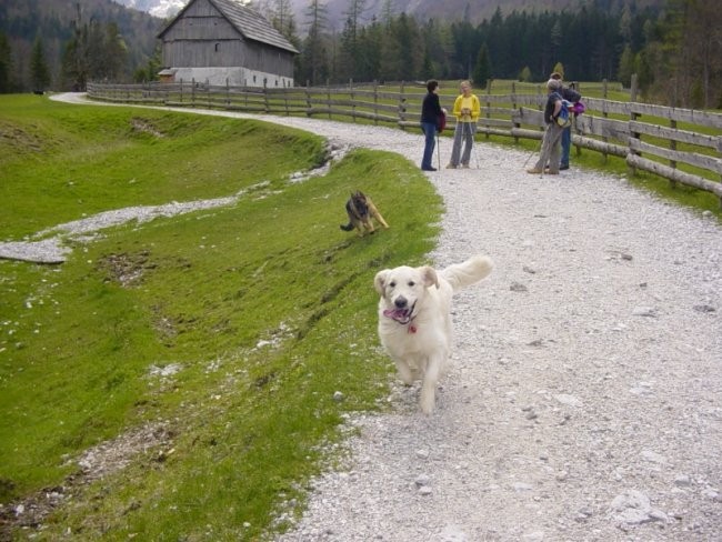 27.04.2008 - Izlet v Robanov kot - foto povečava