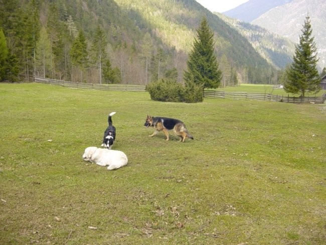 27.04.2008 - Izlet v Robanov kot - foto povečava