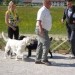 11.05.2008 - CAC Dolenjske [Ocena: Odlicno 1,