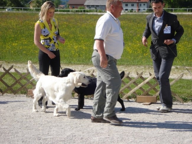 11.05.2008 - CAC Dolenjske [Ocena: Odlicno 1, - foto povečava