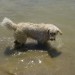 20.07.2008 - Zovnesko jezero
