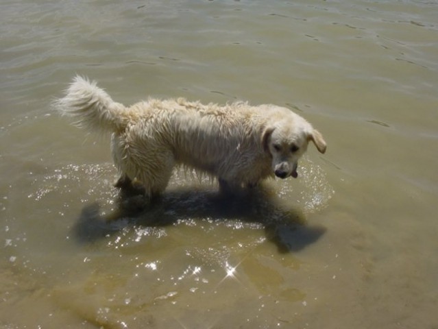 20.07.2008 - Zovnesko jezero - foto