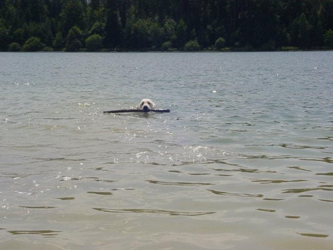 20.07.2008 - Zovnesko jezero - foto povečava