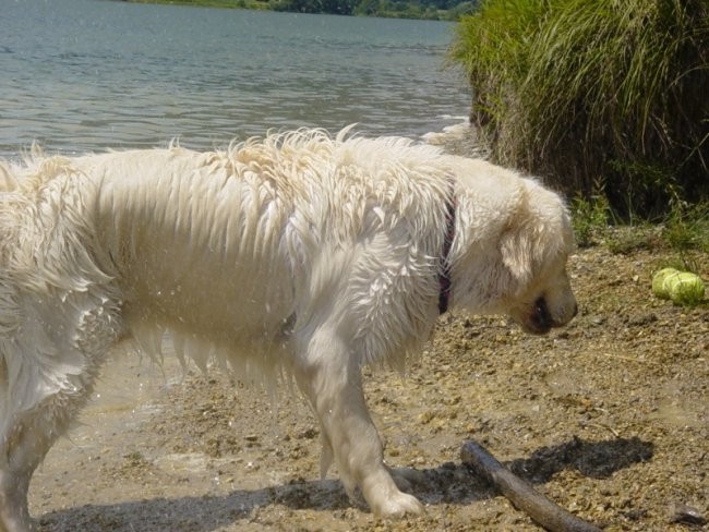 20.07.2008 - Zovnesko jezero - foto povečava