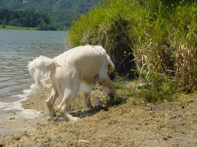 20.07.2008 - Zovnesko jezero - foto povečava