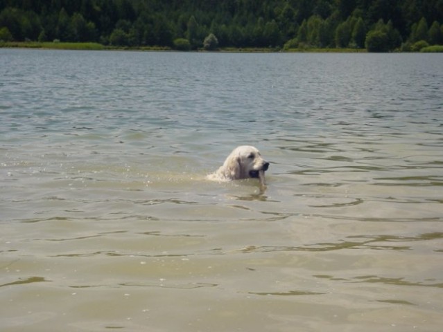 20.07.2008 - Zovnesko jezero - foto