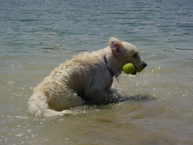 20.07.2008 - Zovnesko jezero - foto