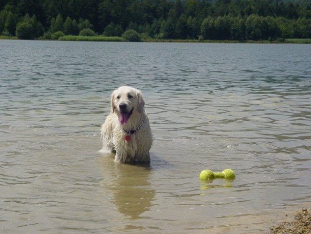 20.07.2008 - Zovnesko jezero - foto