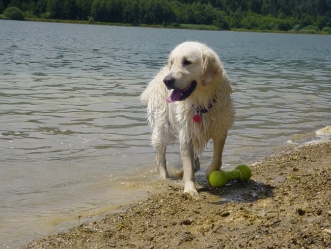 20.07.2008 - Zovnesko jezero - foto povečava