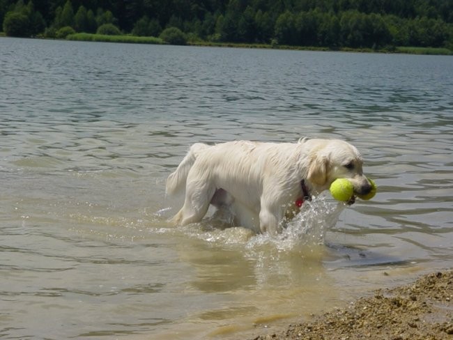 20.07.2008 - Zovnesko jezero - foto povečava